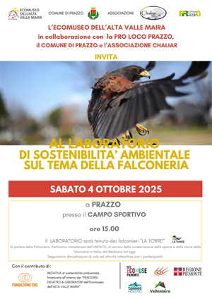 Laboratorio Falconeria